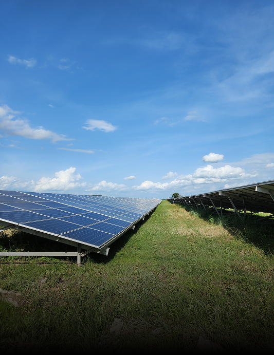 Renewable Electricity